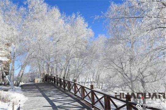華全動力在內蒙古冬季雪景
